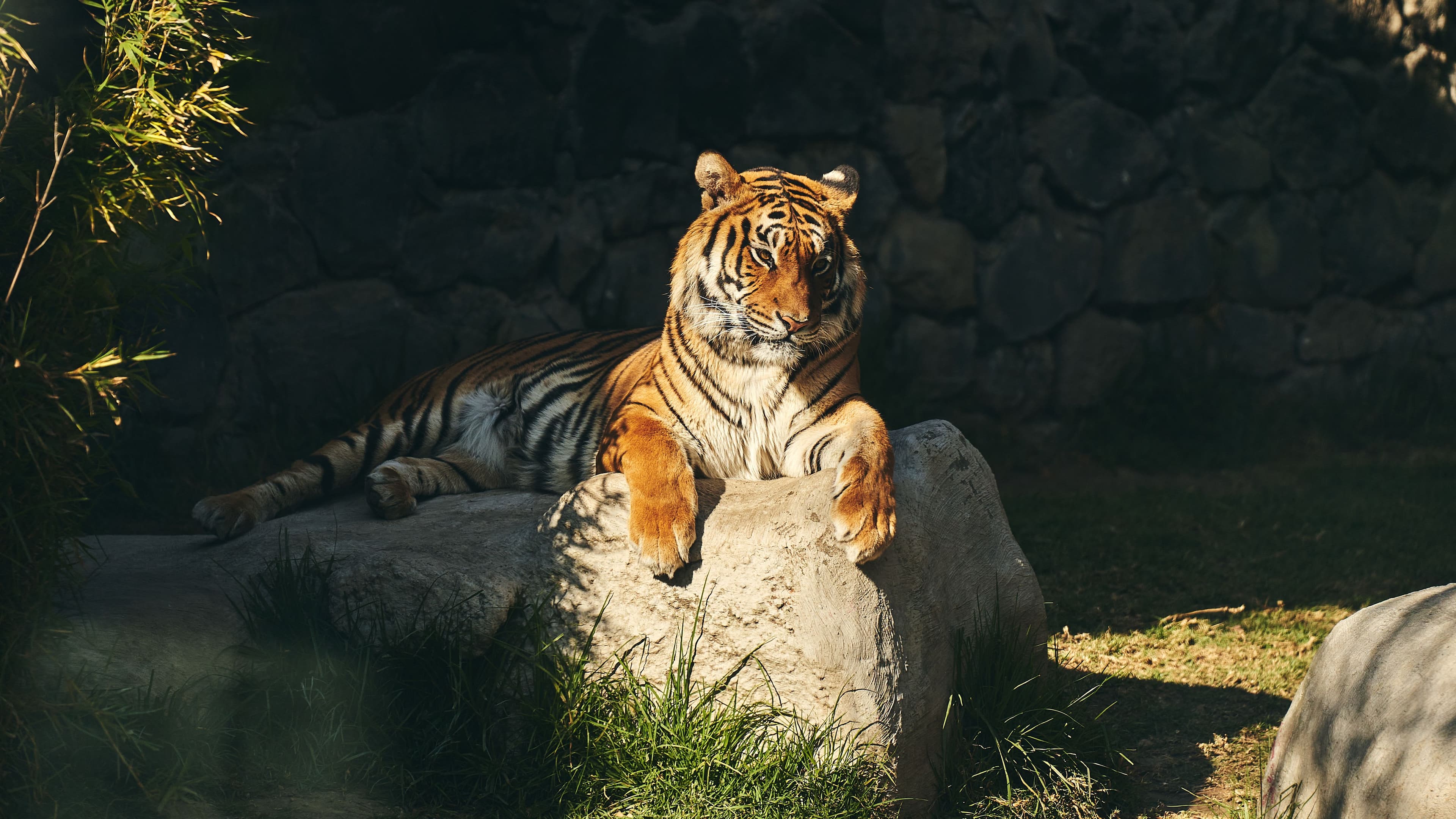 Kumbha (T-34) — The Heavyweight King of Khandar