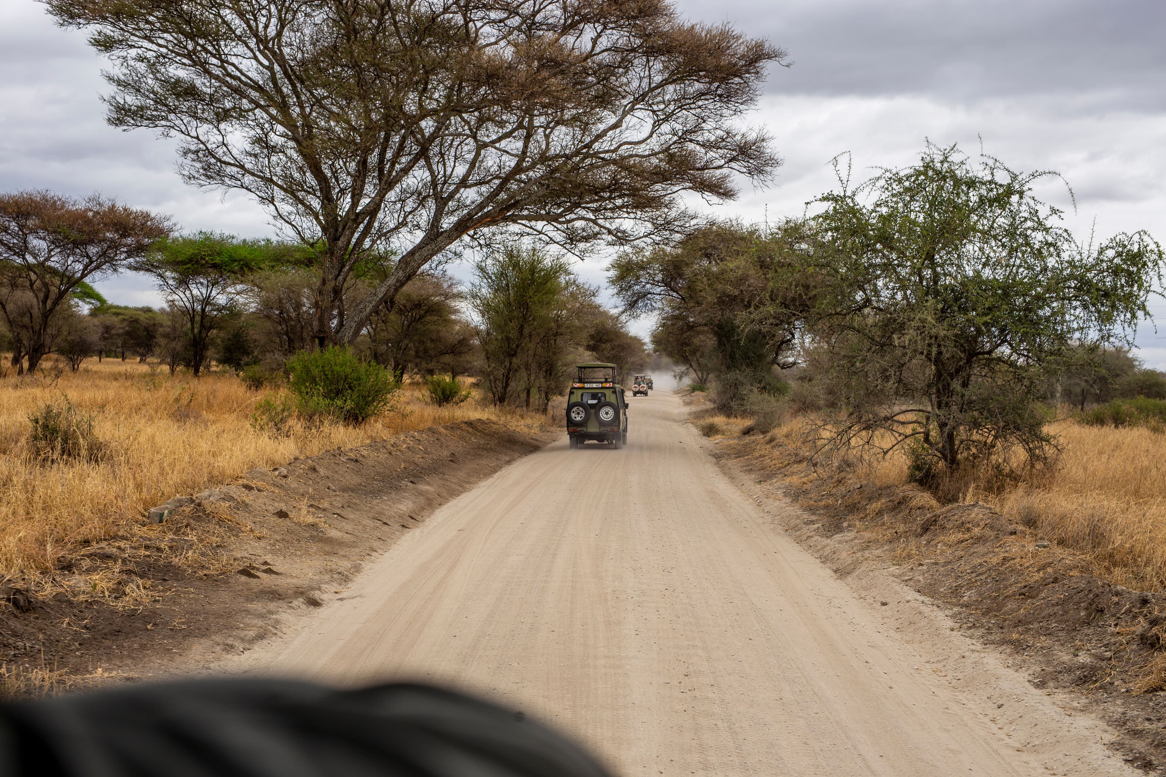 Ranthambore safari jeep booking