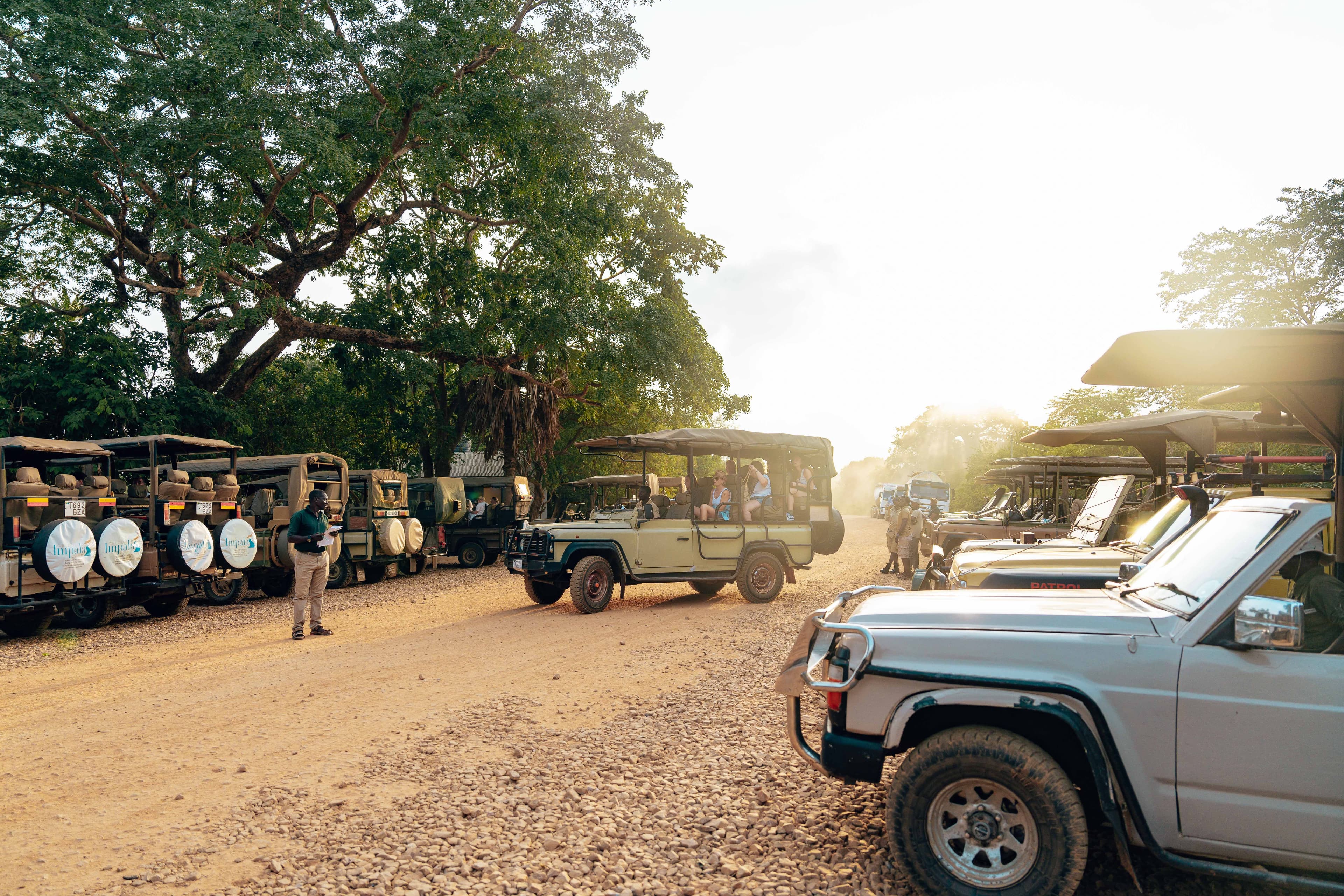 Ranthambore safari timings morning evening