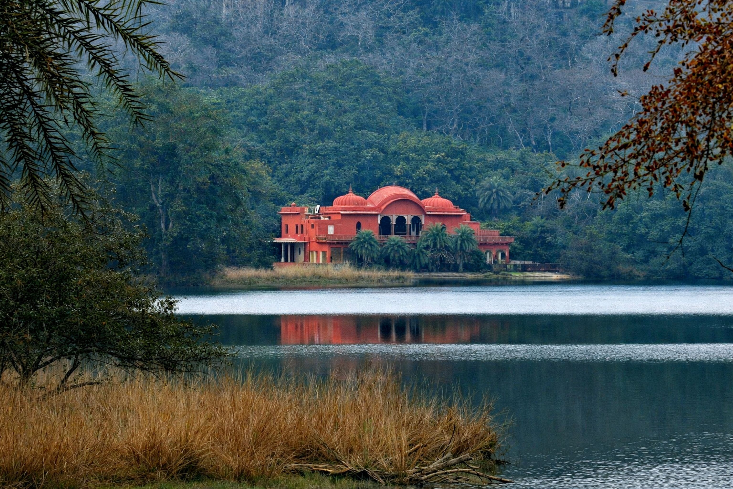 Where to stay in Ranthambore hotels resorts