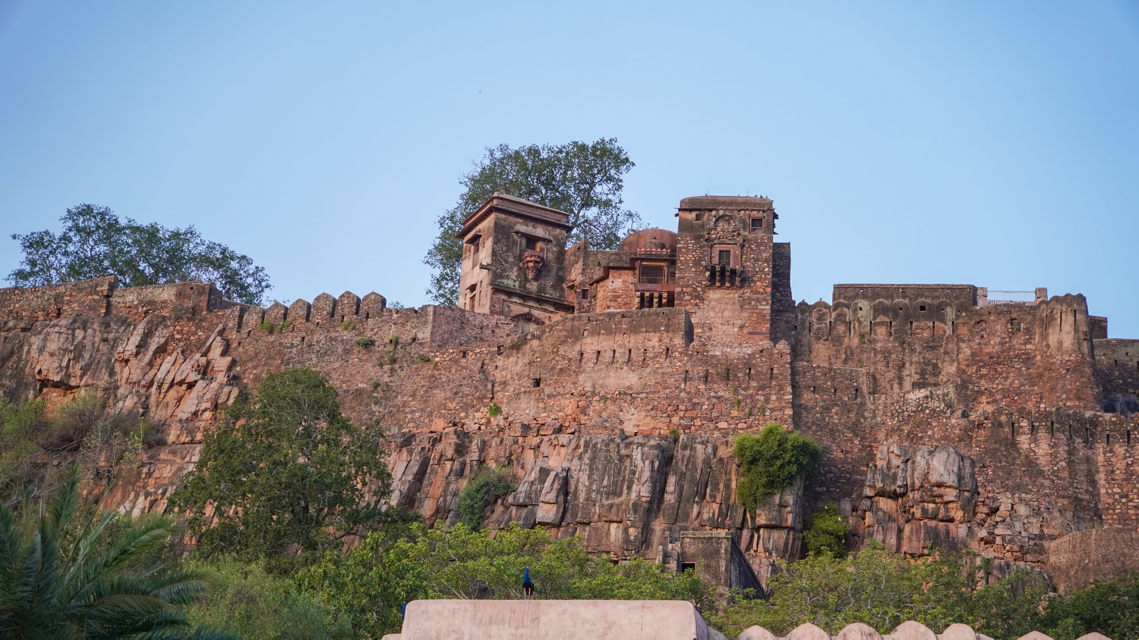 Ranthambore Fort Timings, Tickets & How to Visit