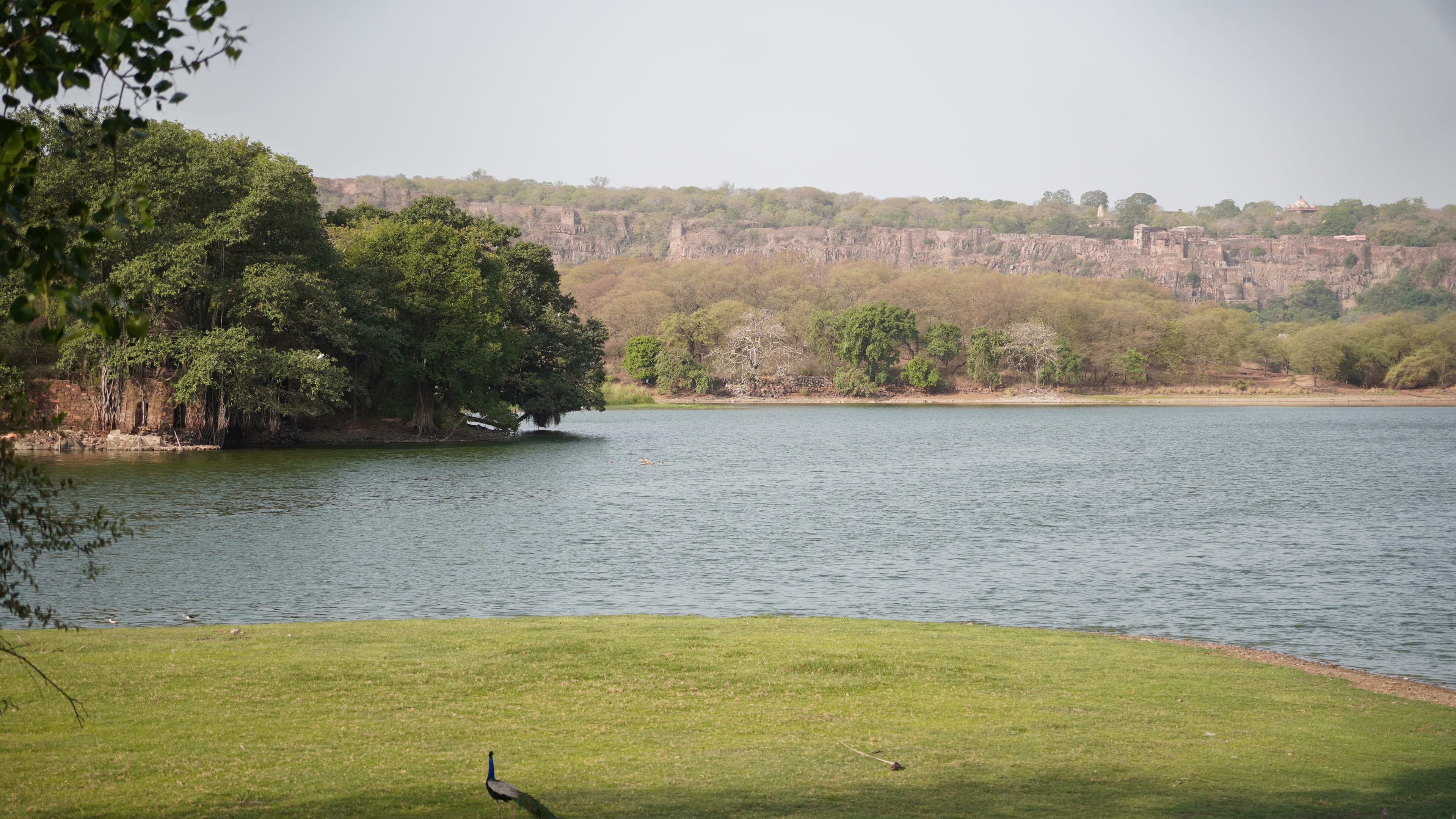 Ranthambore Itinerary — 2 & 3 Day Trip Plans + Packing List