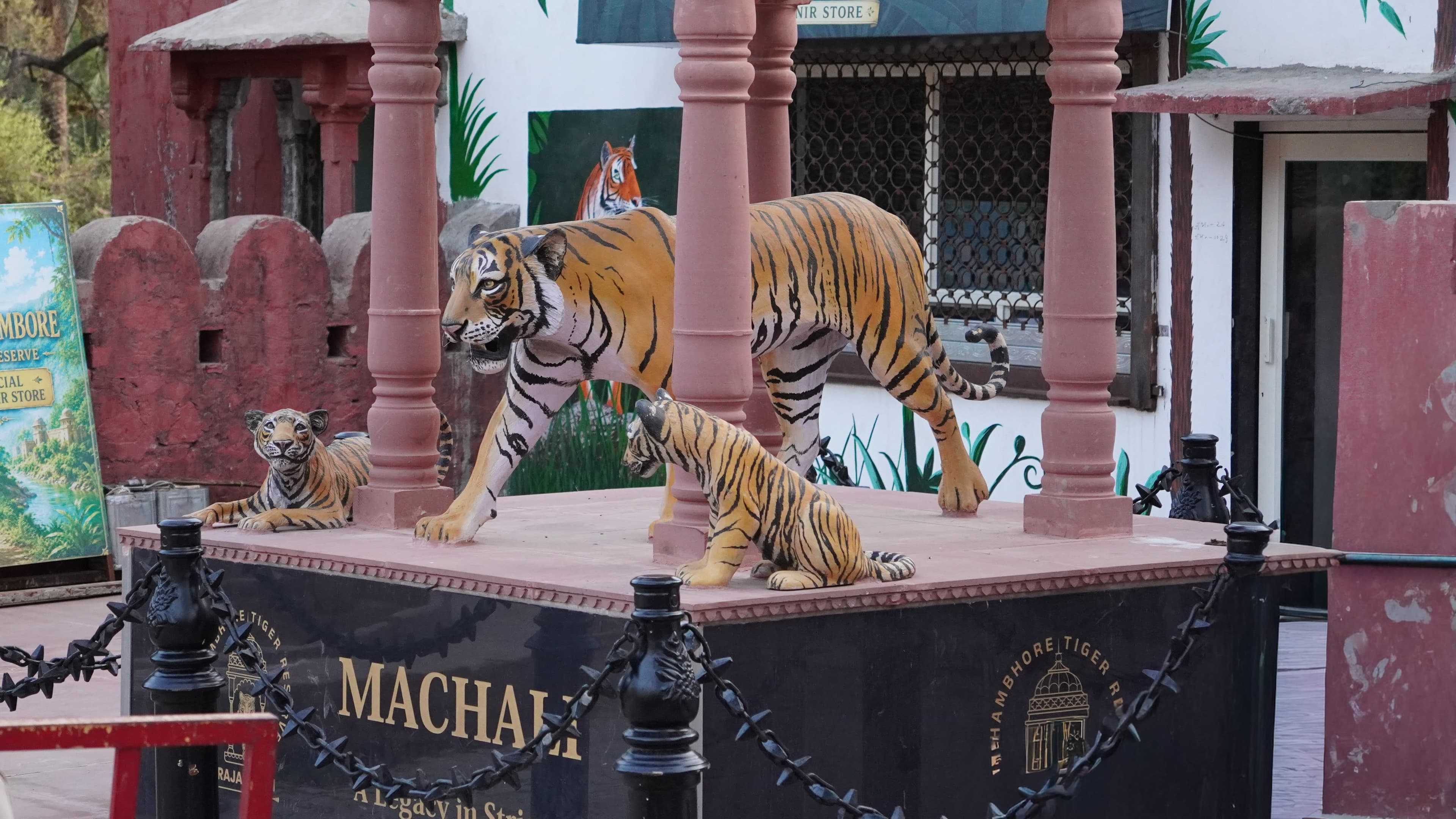 Machli (T-16) — The Tiger Queen of Ranthambore